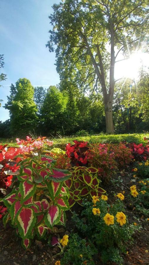 Moderne Ferienwohnungen Am Kurpark - Zentral, Ruhig & Nah Am Edersee Бад-Вільдунген Екстер'єр фото